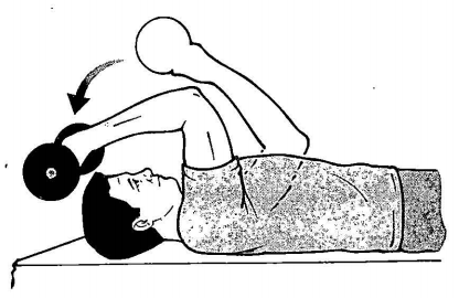 Shoulder Exercise